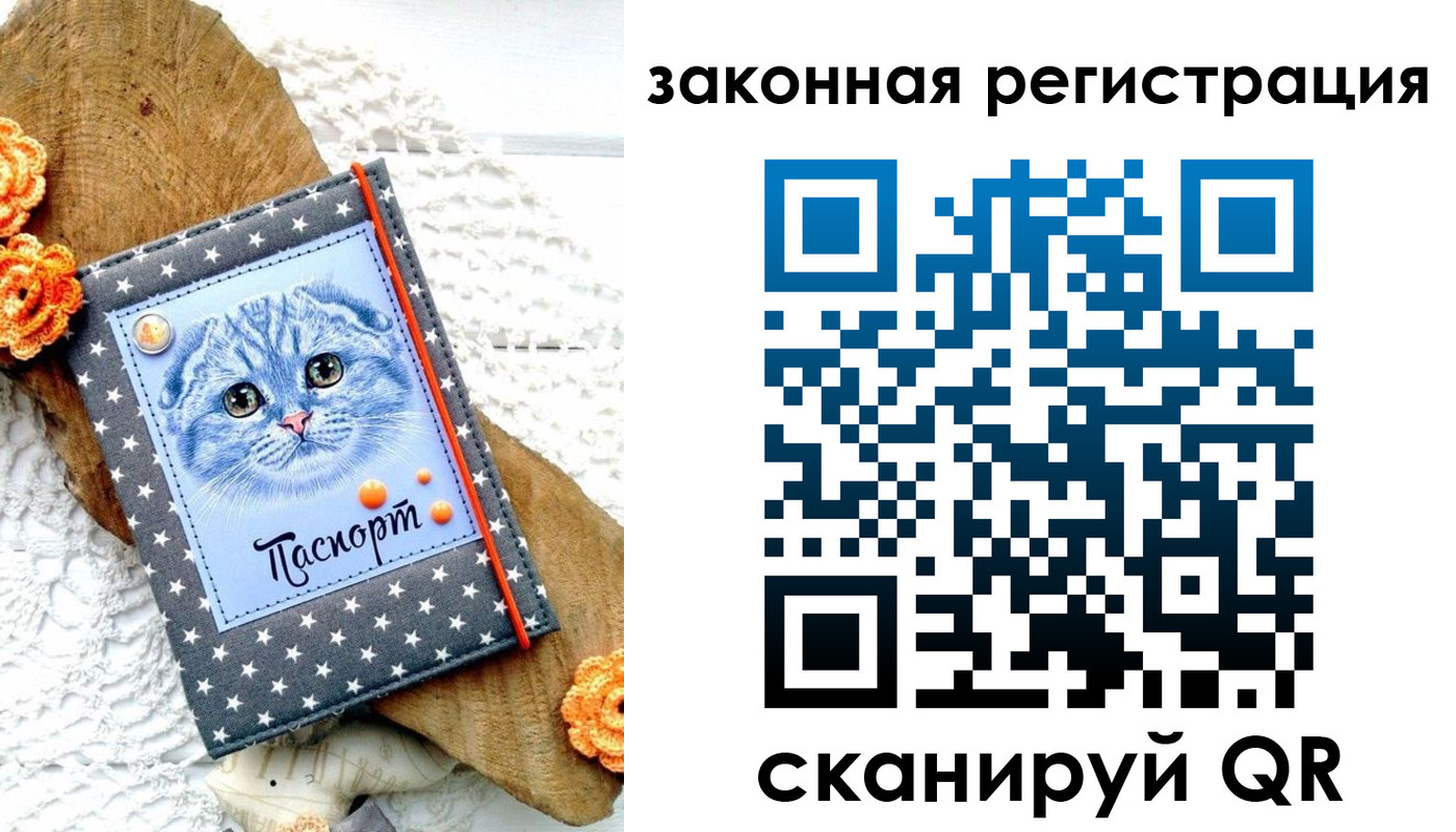 регистрация в Ярославской области